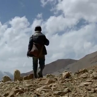 Changpa of Ladakh