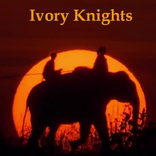 Ivory Knights