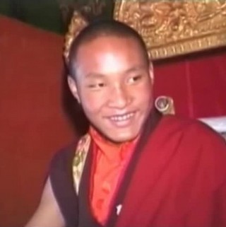 Karmapa The Lion Begins To Roar