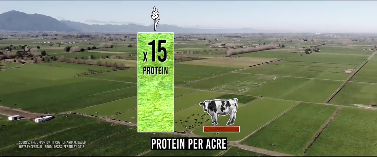 Protein Yield