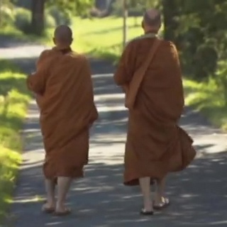 The Monks In The Forest