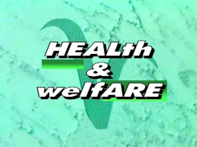 Health + Welfare