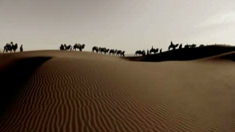 Camel Caravan crossing the Desert