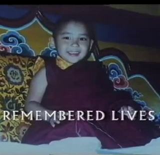 Little Buddha – Dharma Documentaries